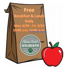 Screen Shot 2020-04-19 at 9.30.14 AM